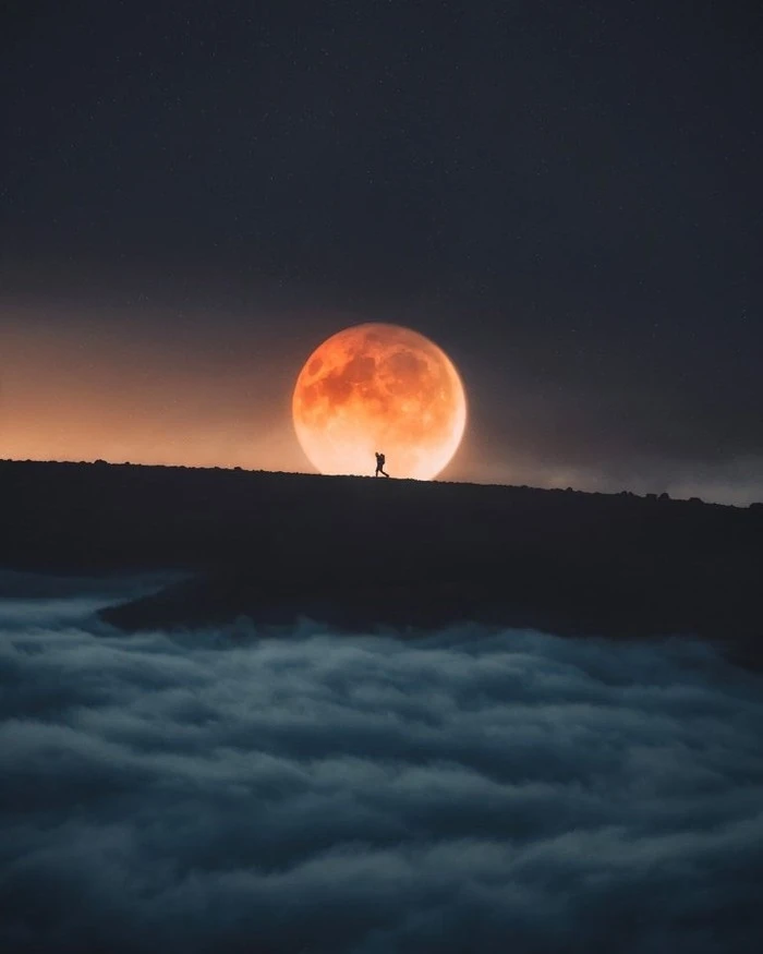 IMG_7260.JPG?type=w1600