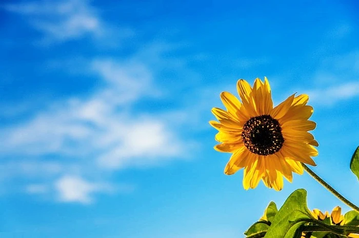 rock-beside-river-near-lighted-buildings-wallpaper-preview.jpg?type=w1600