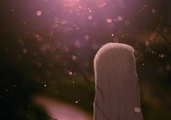 img_4716s-spysun-550x388.jpg?type=w1600