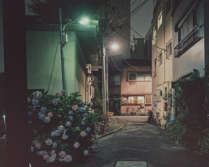 photography-frack-bohbot-11-805x644.jpg?type=w1600