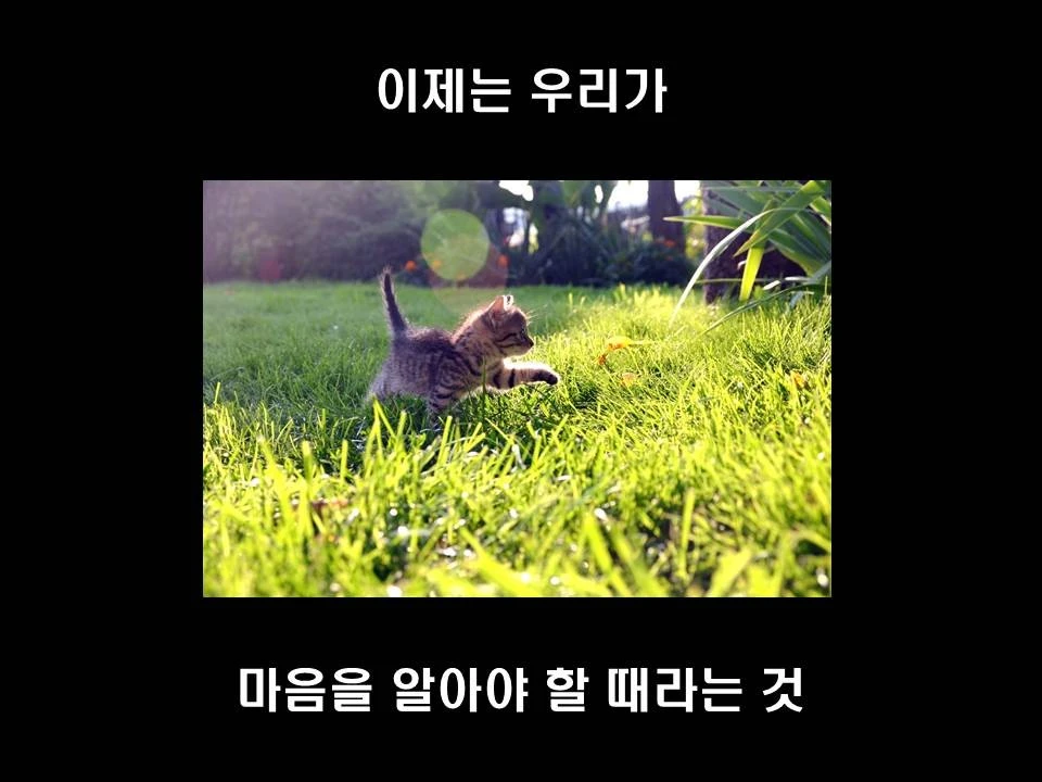 %EC%8A%AC%EB%9D%BC%EC%9D%B4%EB%93%9C3.JPG?type=w1600