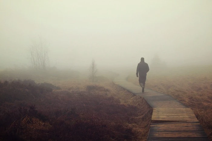 fog-1258892_1920.jpg?type=w1600