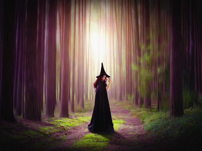 1600x1200-464419-Photoshop-photo-manipulation-forest-trees-green.png?type=w1600