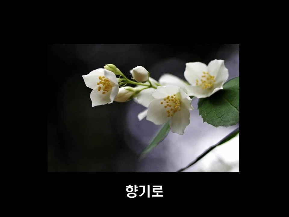 %EC%8A%AC%EB%9D%BC%EC%9D%B4%EB%93%9C11.JPG?type=w1600