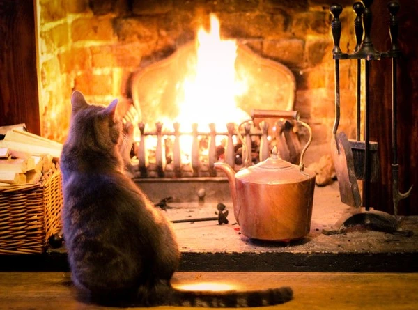 85a0c849458c13d4a1c1cd18bcd4dca8.jpg?type=w1600