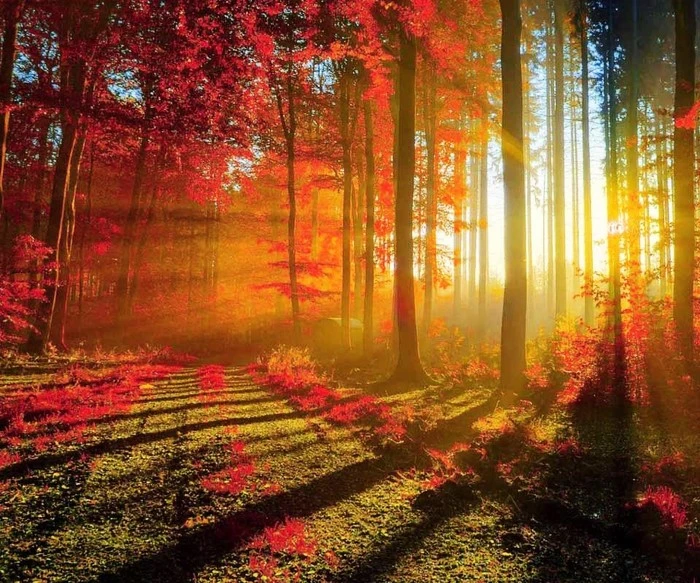 screen-4.jpg?type=w1600