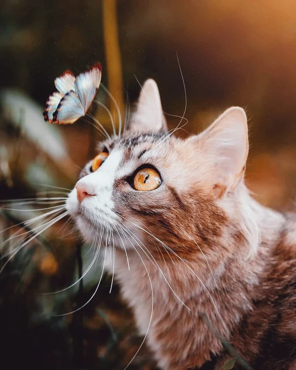 2e21bad4c67558cb01235b644272b420.jpg?type=w1600