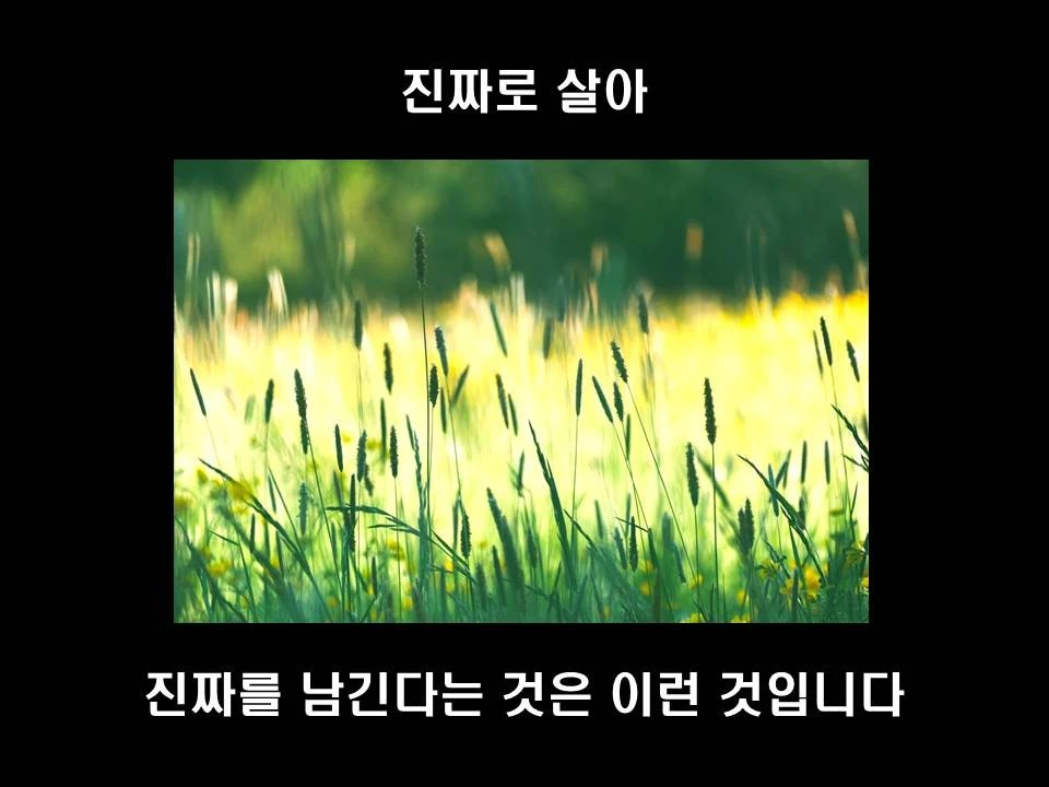 %EC%8A%AC%EB%9D%BC%EC%9D%B4%EB%93%9C46.JPG?type=w1600