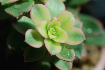 개인회생 신청자격_개인파산_차이점(7).JPG