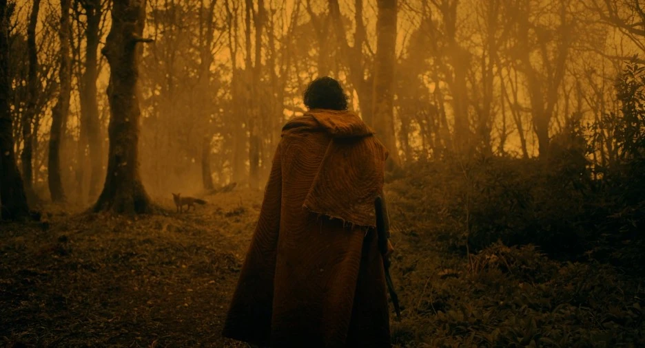 HR_The_Green_Knight_(2021)_4ED2BEE3.mkv_20211230_224754.626.jpg?type=w1