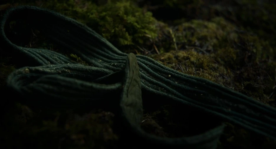 HR_The_Green_Knight_(2021)_4ED2BEE3.mkv_20211230_224624.945.jpg?type=w1