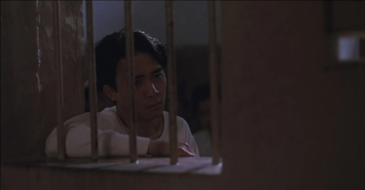 저수지의 개들.JPG