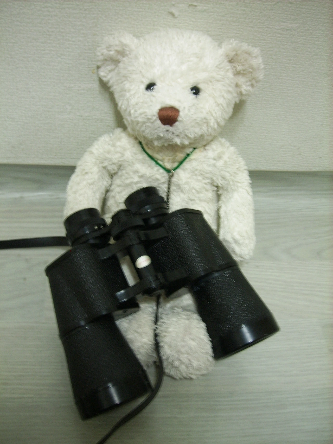 베폴이 망원경.JPG