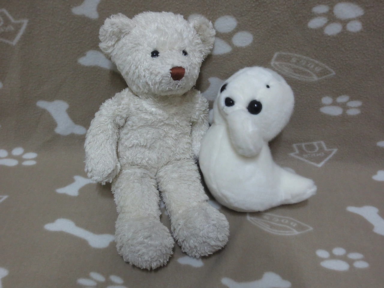 베폴이 북극친구.JPG