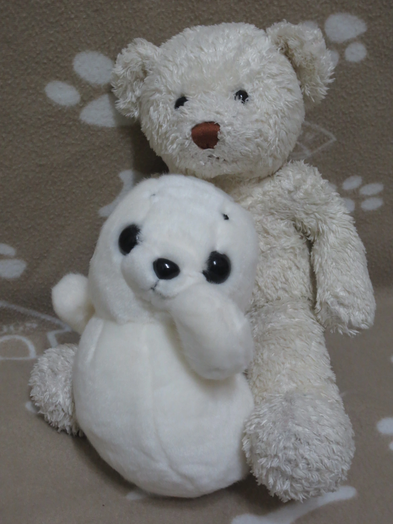 베폴이 백범이.JPG