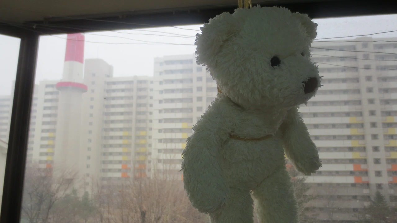 베폴이 빨래 (2).JPG