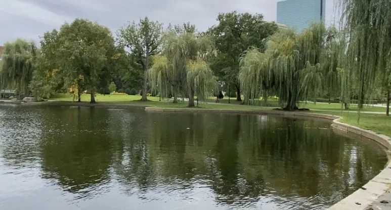 IMG_5177.jpg?type=w773