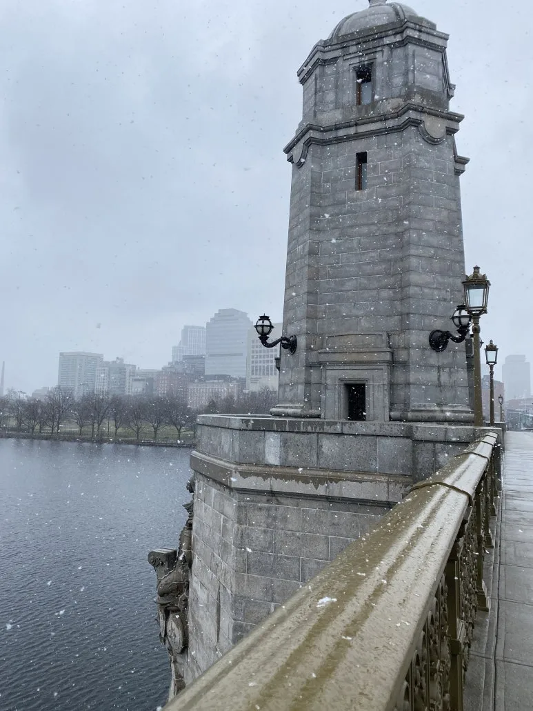 IMG_5213.JPG?type=w773