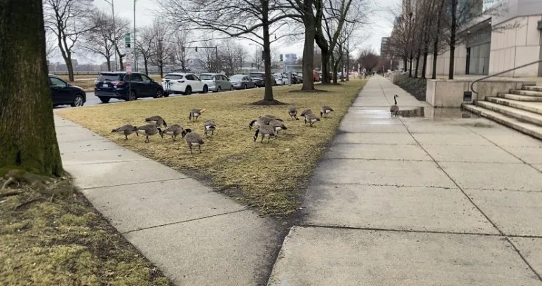 IMG_9820.jpg?type=w773