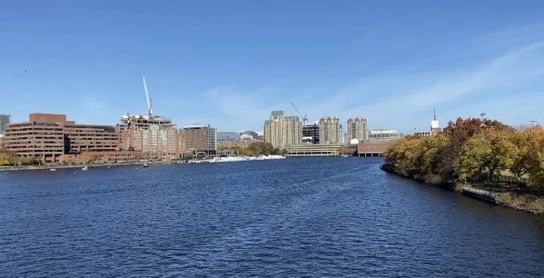 IMG_9115.jpg?type=w773