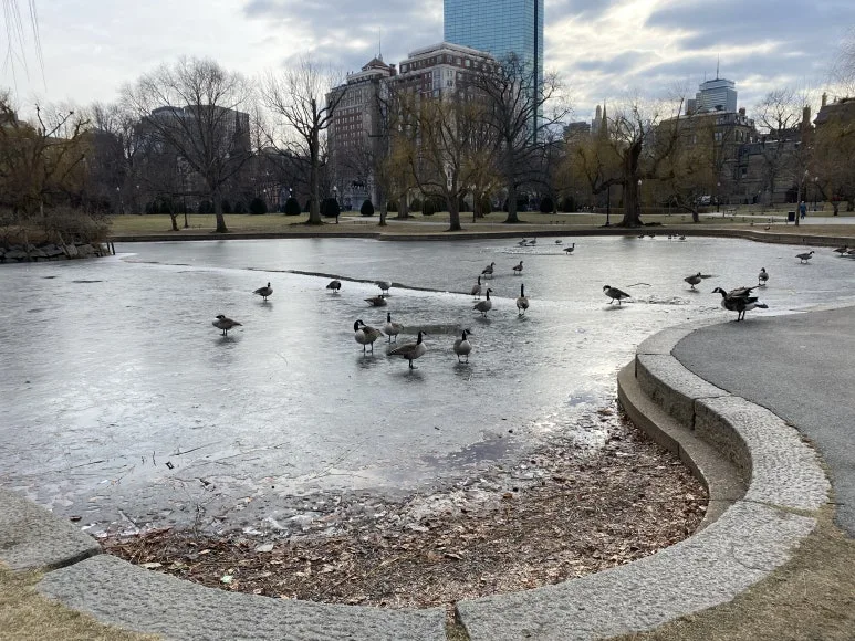 IMG_7973.JPG?type=w773