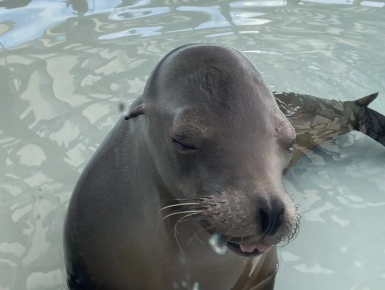 IMG_3332.JPG?type=w773