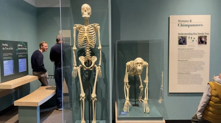 IMG_1010.jpg?type=w773