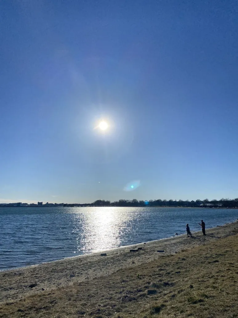 IMG_8407.JPG?type=w773