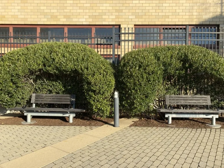 IMG_8509.JPG?type=w773