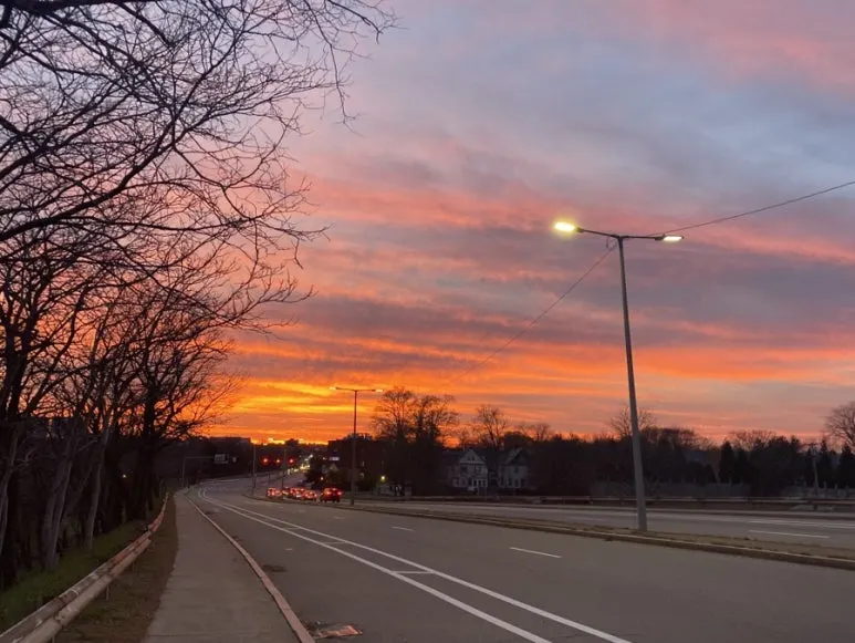 IMG_9536.JPG?type=w773