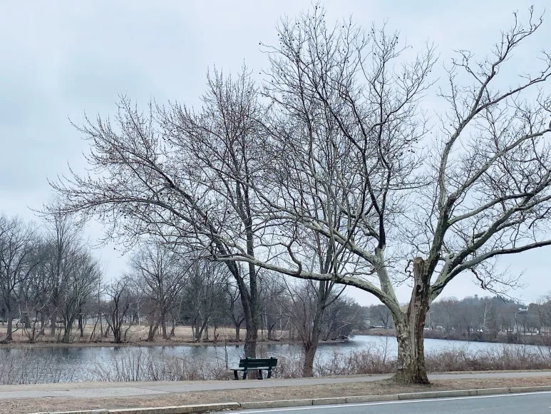 IMG_1538.JPG?type=w773