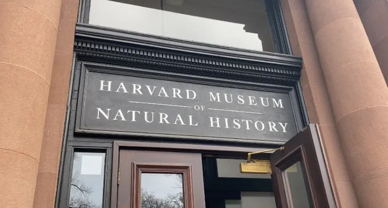 IMG_1011.jpg?type=w773