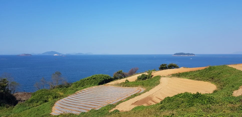 20181013_140554.jpg?type=w966