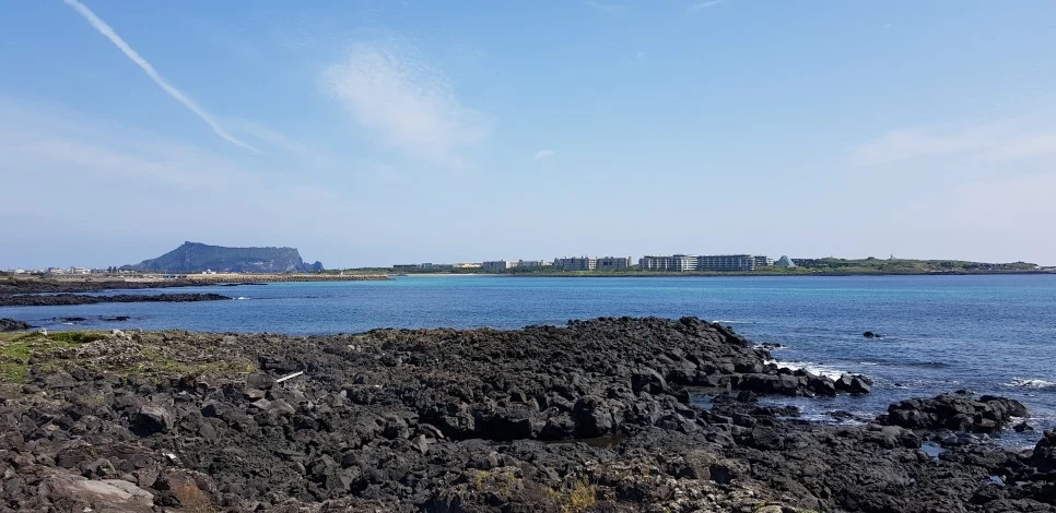 20180922_111428.jpg?type=w966