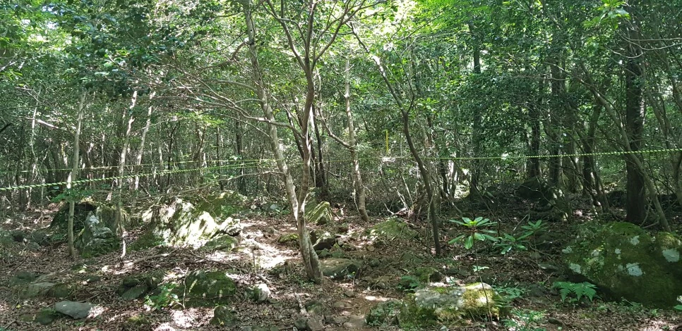 20180802_103957.jpg?type=w966