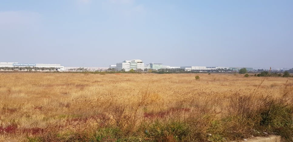 20181110_100515.jpg?type=w966