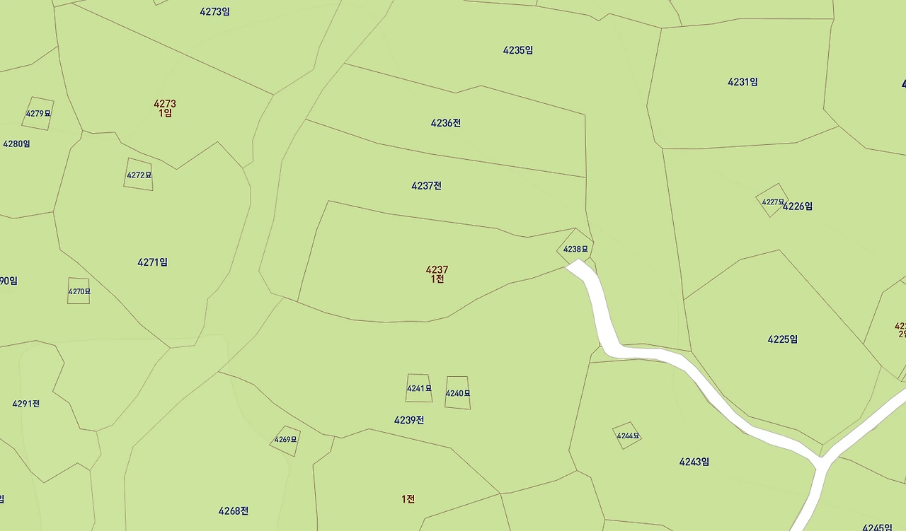 진입로에 묘가 물린 지적.PNG