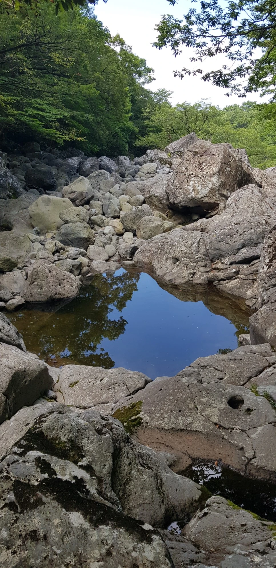 20180802_102801.jpg?type=w966