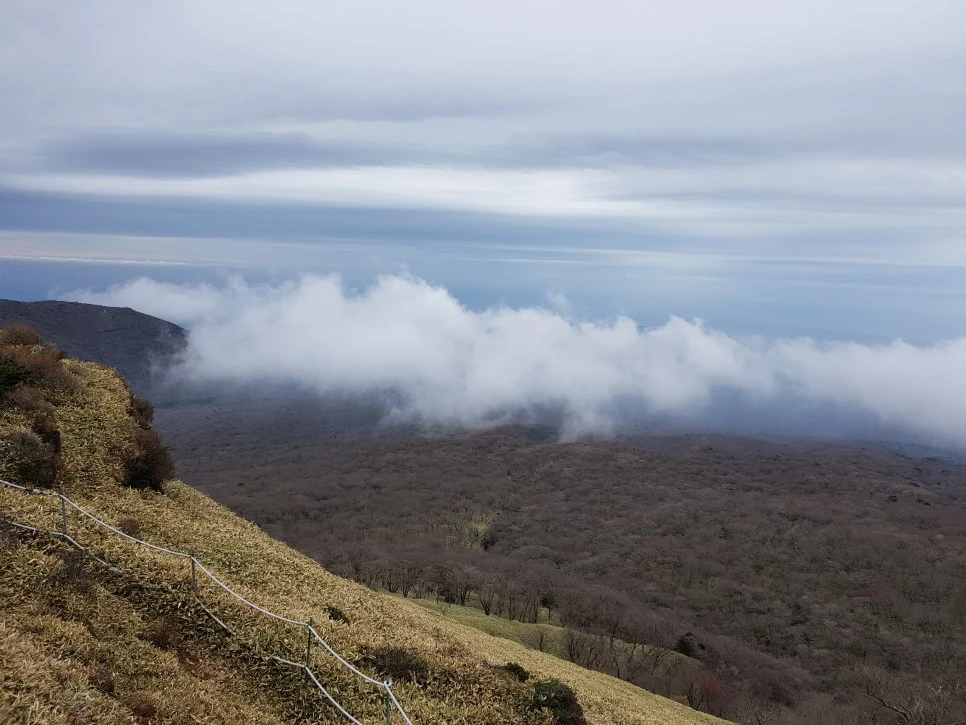 20161204_130348.jpg?type=w966