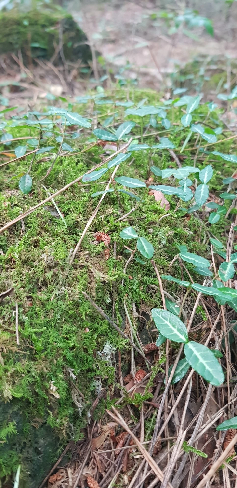 20180802_105508.jpg?type=w966