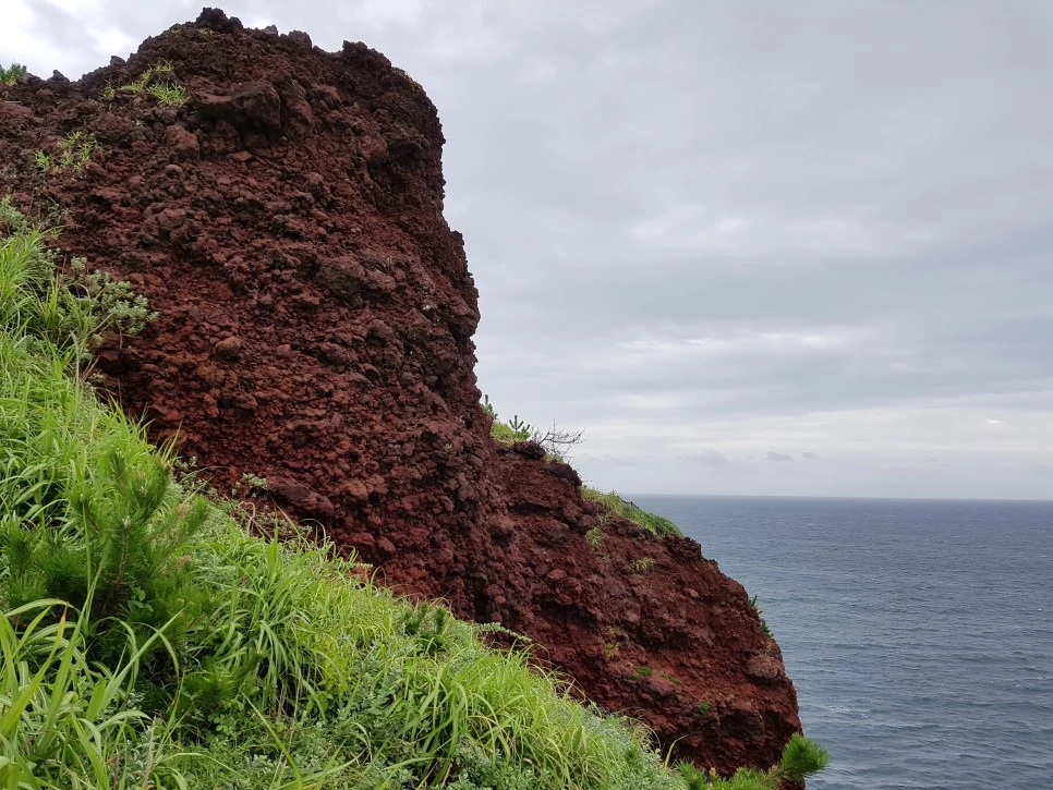 20160827_125225.jpg?type=w966