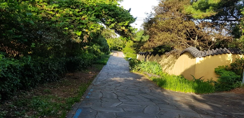 20180922_080339.jpg?type=w966