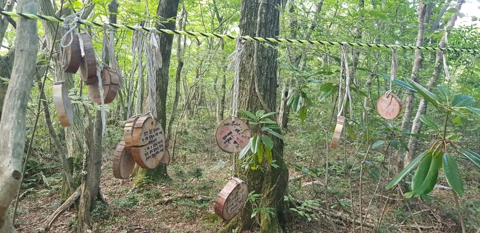 20180802_102106.jpg?type=w966