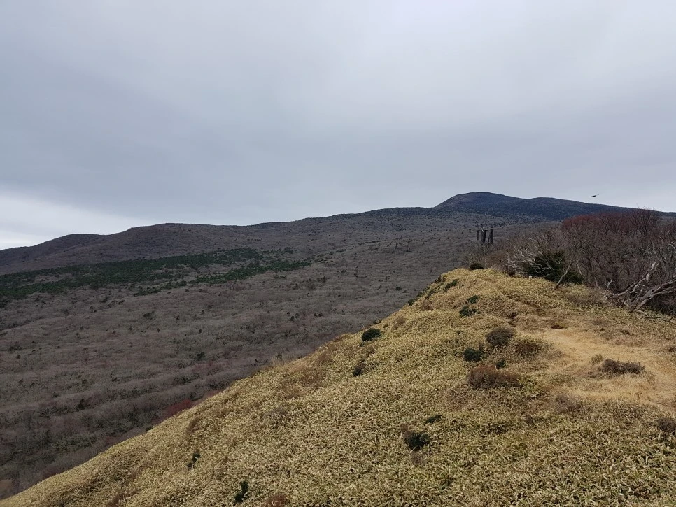 20161204_130343.jpg?type=w966