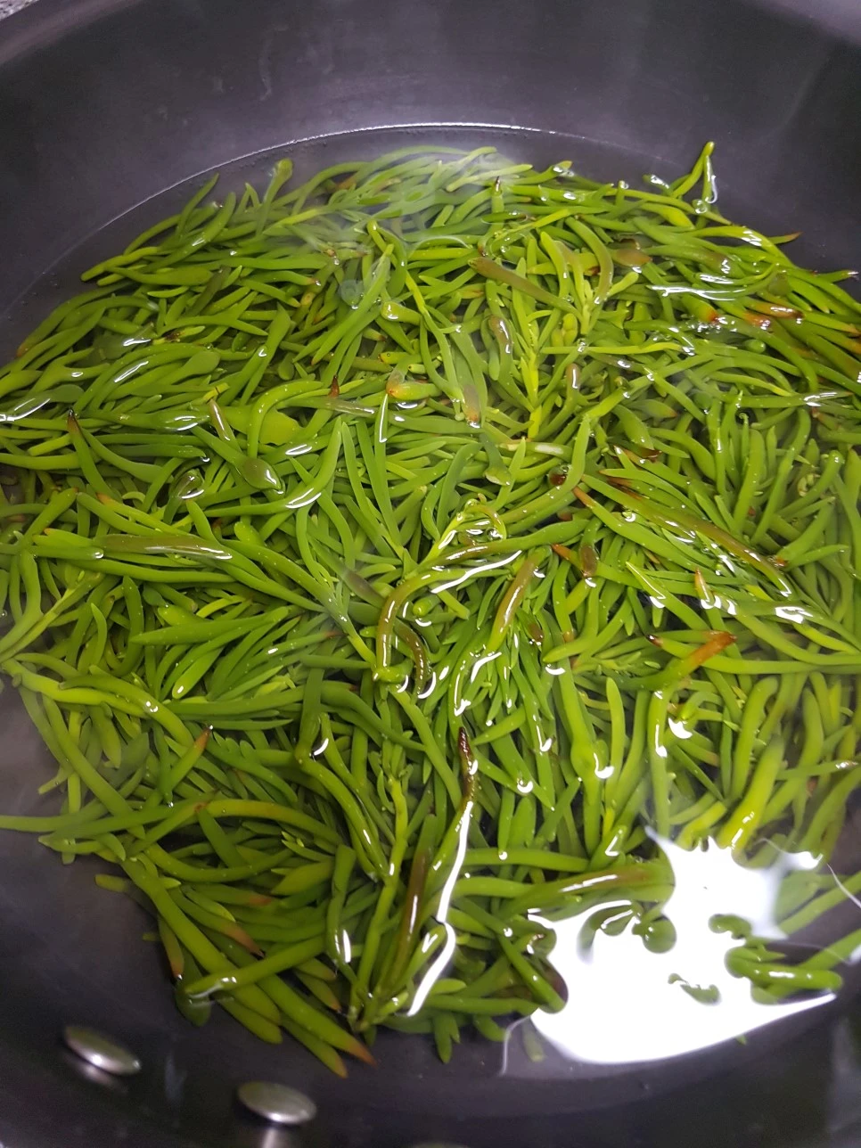 20170329_210200.jpg?type=w966