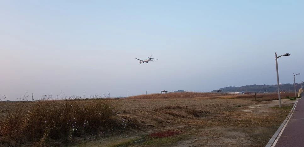 20181110_165959.jpg?type=w966