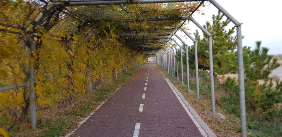 20181110_165854.jpg?type=w966