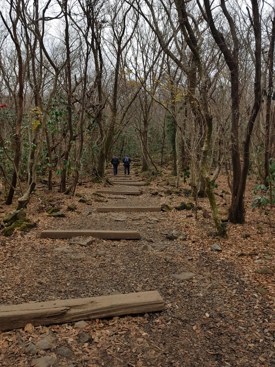 20161204_102749.jpg?type=w966