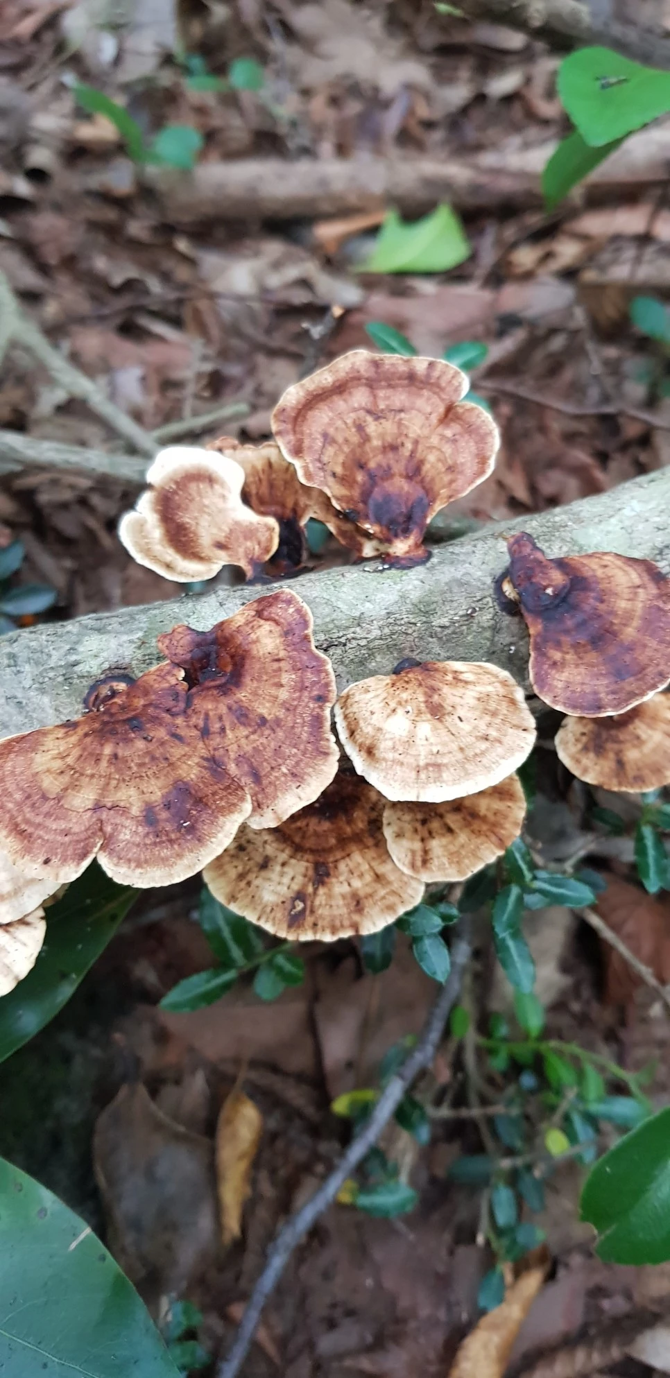 20180802_114556.jpg?type=w966