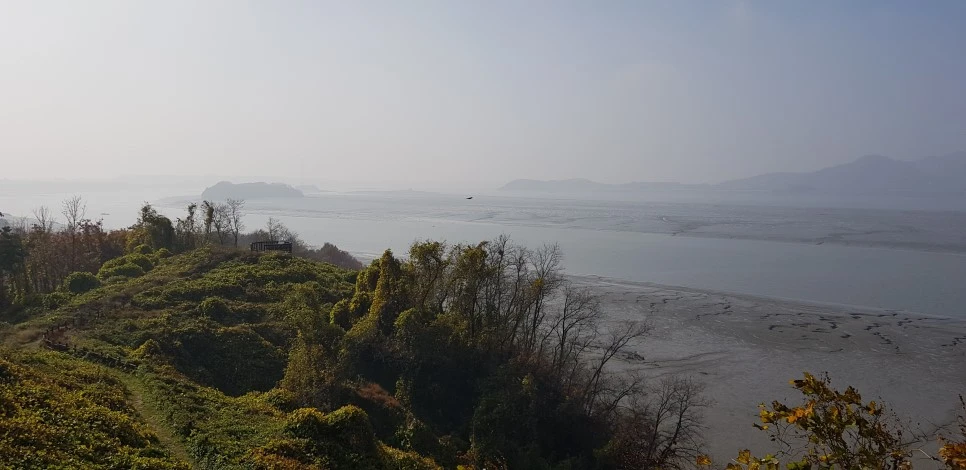 20181110_120910.jpg?type=w966